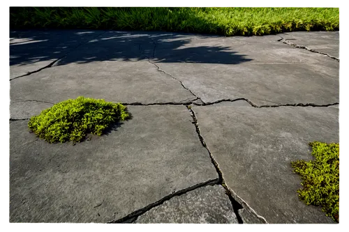 paving stones,paved square,paving stone,paved,paving slabs,flagstone,paving,pavement,stone floor,turf roof,tire track,groundcover,asphalt,roof landscape,japanese zen garden,concrete slabs,zen garden,concrete,brick grass,japanese garden ornament,Illustration,Retro,Retro 14