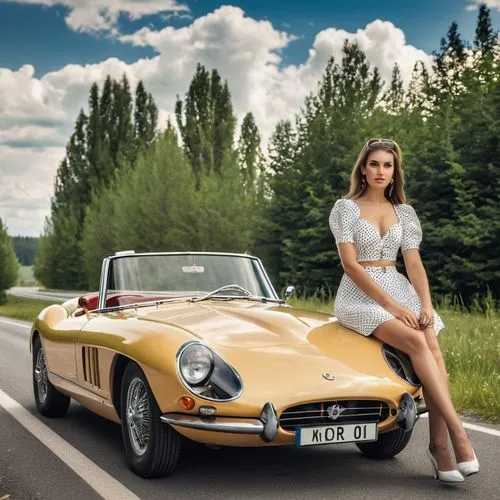 auto show zagreb 2018,classic cars,bridal car,zagreb auto show 2018,classic car,etype,lada,opel record p1,vintage cars,vintage car,matra,alenka,wedding car,svetlana,anastasiadis,syrena,porsche,opel record,girl and car,classic car meeting,Photography,General,Realistic