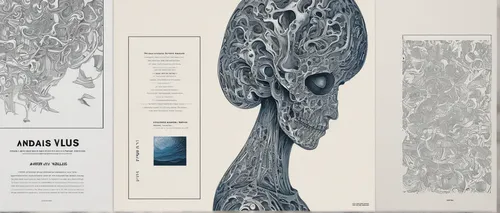 Design a minimalist y2k font for a modern art exhibition poster.,anatomical,mandelbulb,axons,grey whale,human body anatomy,adansonia,nerve cell,bottlenose,sigmars root,rmuscles,petrification,neurons,p