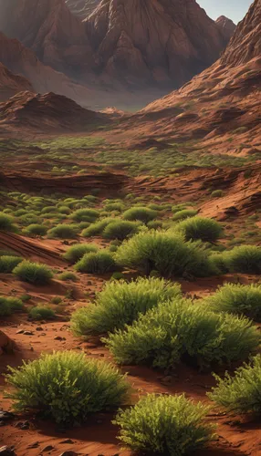 desert desert landscape,desert landscape,arid landscape,dune landscape,wadi rum,namib desert,libyan desert,capture desert,namib,desert plants,steppe,wadirum,desert background,gobi desert,the desert,desert plant,arid,namib rand,arid land,argan trees,Photography,General,Natural