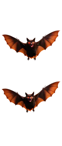 Spooky Halloween bat, black wings spread wide, flying pose, glowing red eyes, sharp fangs, dark brown fur, eerie atmosphere, dim moonlight, 3/4 composition, shallow depth of field, warm color tone, ci