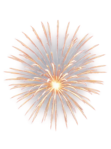 fireworks background,pyrotechnic,fireworks rockets,firework,fireworks,fireworks art,hanabi,sparkler,pyrotechnics,seoul international fireworks festival,flying sparks,turn of the year sparkler,firecrackers,pyromania,oriflamme,firecracker,new year vector,airburst,firebrands,diwali background,Conceptual Art,Fantasy,Fantasy 27