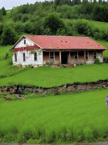 rice cultivation,ricefield,the rice field,paddy field,yamada's rice fields,rice field,rice fields,tea plantations,rice paddies,rural area,tona organic farm,tea plantation,farm house,organic farm,green landscape,rice terrace,rural landscape,traditional village,heart tea plantation,guizhou,Photography,General,Realistic