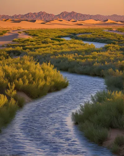 freshwater marsh,mesquite flats,desert landscape,desert desert landscape,salt marsh,tidal marsh,rio grande river,mojave desert,watercourse,flowing creek,golf landscape,dunes national park,antelope island,dune ridge,jordan river valley,salt meadows,indian canyons golf resort,river landscape,the gobi desert,crescent dunes,Illustration,Paper based,Paper Based 17