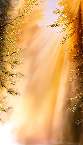 sunburst background,autumn background,light of autumn,autumn forest,golden autumn,autumn sun,autumn light,autumn scenery,sunlight through leafs,autumn landscape,sunrays,larch forests,coniferous forest,sunbeams,golden leaf,conifers,autumn gold,autumn sunshine,landscape background,autumn tree,Illustration,Paper based,Paper Based 24