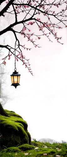 japanese lantern,oriental lantern,japanese sakura background,hanging lantern,illuminated lantern,sakura background,japanese lamp,japanese garden ornament,lanterns,landscape background,lamplight,japanese garden,spring background,japanese shrine,teahouse,red lantern,street lantern,fairy lanterns,springtime background,japan landscape,Illustration,Abstract Fantasy,Abstract Fantasy 21