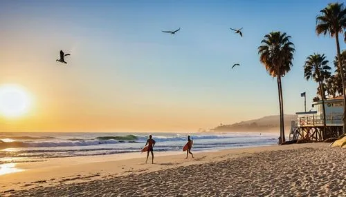 Southern California, sunny day, clear blue sky, palm trees swaying gently, sandy beach, waves crashing against the shore, seagulls flying overhead, a surfer riding the waves, sunglasses, sun-kissed sk