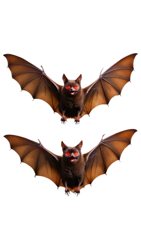 Wings spread wide, flying bat, dark brown fur, pointed ears, sharp teeth, glowing red eyes, nocturnal, solo, close-up, 3/4 composition, soft focus, warm lighting, cinematic atmosphere, PNG transparent