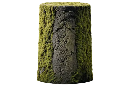 pillar,block of grass,tree trunk,xylem,wooden pole,tree moss,stumpel,a flashlight,tree torch,stump,xanthorrhoea,forest moss,moss landscape,bryophyte,paleobotany,burning tree trunk,tree bark,stylite,teepencolumn,tree trunks,Photography,Black and white photography,Black and White Photography 01