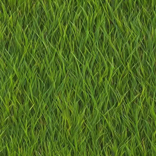 block of grass,green wallpaper,zoysia,grass,gras,grass blades,grass grasses,cordgrass,grass fronds,long grass,grassman,golf course grass,green grass,wheat grass,grasslike,brick grass,grass lily,green lawn,grassy,paspalum,Illustration,Abstract Fantasy,Abstract Fantasy 10