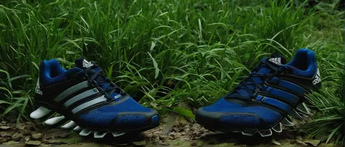 Craft a poetic description of a runner's experience wearing Adidas Springblade shoes in a serene natural environment.,football boots,blades of grass,rugby tens,track spikes,american football cleat,out