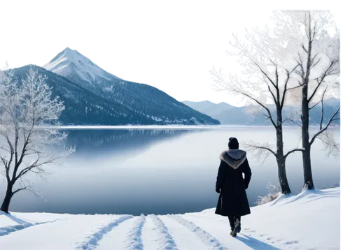 winter background,dawnstar,winterblueher,winter landscape,landscape background,snow scene,winters,syberia,winter lake,snow landscape,winterreise,winterfell,thingol,winterland,world digital painting,hiver,winter dream,the snow queen,fantasy picture,wintersun,Illustration,Retro,Retro 26