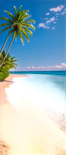 rarotonga,cook islands,tropical beach,mauritius,caribbean,caribbean beach,fiji,caribbean sea,beach landscape,tropical sea,guadeloupe,the caribbean,raiatea,dream beach,aitutaki,guadeloupean,beautiful beach,micronesia,savaii,cuba beach,Art,Classical Oil Painting,Classical Oil Painting 20