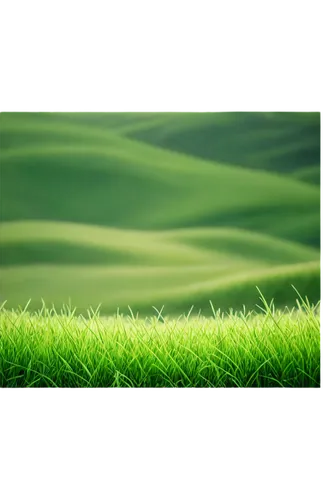 green background, vibrant grass, soft focus, natural texture, subtle gradient, gentle slope, peaceful atmosphere, 3/4 composition, warm sunlight, cinematic lighting.,green grass with blurry image back