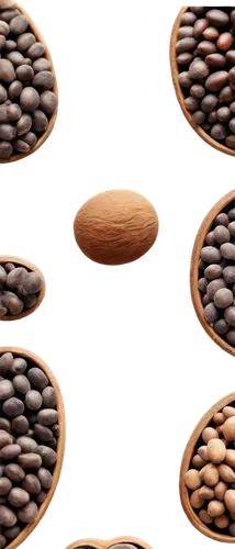 coffee background,coffee beans,cocoa beans,java beans,lentils,beanballs,pine nuts,cowpea,legumes,pulses,microkernels,legume,flax seed,coffee seeds,grains,roasted coffee beans,flaxseed,seed,soybean,groundnuts,Photography,Fashion Photography,Fashion Photography 15