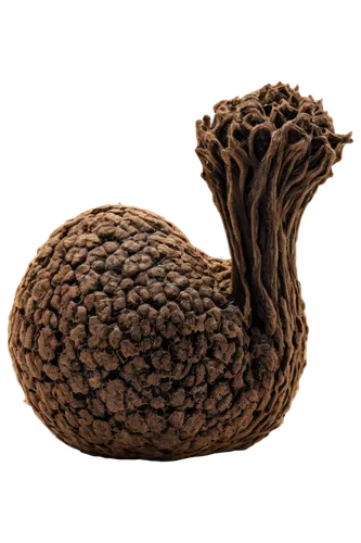 Completed PNG image, isolated subject, transparent background, high-resolution, detailed textures, realistic shading, soft focus, 3/4 composition, cinematic lighting, warm color tone.,fir cone,rudraks