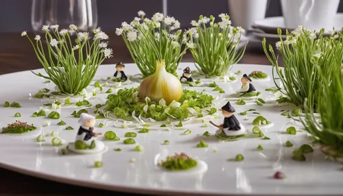 Construct a whimsical scene at a chef's table, with each dish carefully adorned with delicate onion flowers.,garden cress,salad garnish,prussian asparagus,spring onion,garnish,cress bread,spring onion