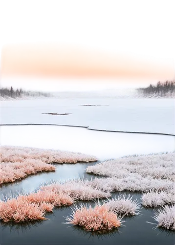 ice landscape,frozen lake,salt meadow landscape,winter lake,saltmarsh,swampy landscape,moss landscape,marshlands,marshland,water scape,waterscape,lakebeds,salt marsh,virtual landscape,tussocks,cattails,alpine lake,snowmelt,microworlds,snow landscape,Conceptual Art,Daily,Daily 22