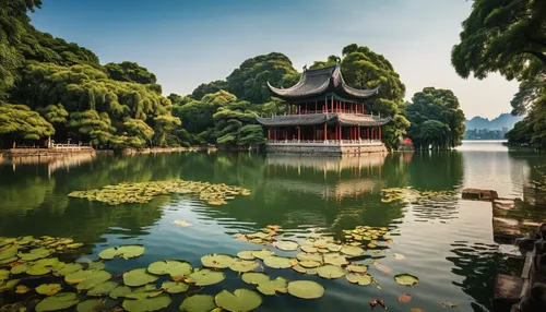 the golden pavilion,golden pavilion,asian architecture,water palace,guilin,chinese architecture,summer palace,suzhou,chinese temple,house with lake,west lake,lotus pond,guizhou,hanoi,vietnam,water lotus,hoan kiem lake,lotus on pond,forbidden palace,wuyi,Photography,General,Realistic