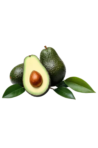 avacado,avo,avocado,avocados,avocado salad,sliced avocado,guacamole,cocos nucifera,mangifera,rock pear,kaki fruit,starfruit,poblano,persian lime,feijoa,rabihorcado,fruit,buñuelo,peperoncini,aaa,Photography,Fashion Photography,Fashion Photography 15