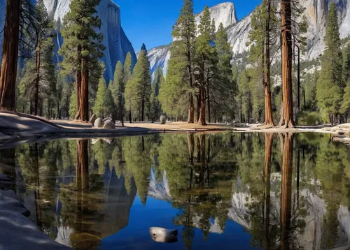 yosemite park,yosemite,water reflection,reflection in water,reflections in water,yosemite national park,yosemite valley,half dome,reflection of the surface of the water,reflections,water mirror,mirror water,mirror reflection,reflecting pool,reflection,half-dome,lens reflection,reflected,salt meadow landscape,united states national park,Illustration,Realistic Fantasy,Realistic Fantasy 43