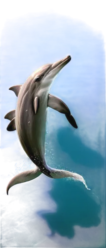 Dolphin, aquatic mammal, sleek body, grey and white color, dorsal fin, blowhole on top of head, smiling face, big eyes, shiny skin, swimming pose, jumping out of water, sunlight reflecting off water, 