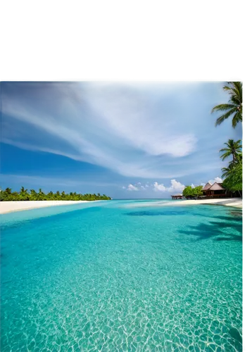 maldive,maldive islands,lakshadweep,cook islands,maldives,maldives mvr,atolls,laccadive,dream beach,french polynesia,atoll,fiji,micronesia,kurumba,fuvahmulah,tropical sea,saona,aitutaki,ocean paradise,maldivian,Art,Artistic Painting,Artistic Painting 21