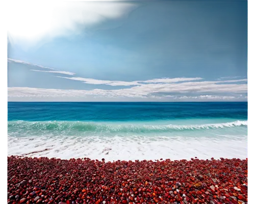 intertidal,pebble beach,sargassum,red anemones,black beach,salination,beach glass,seascapes,cottesloe,spinosum,ocean background,rockpool,beach landscape,red sand,fleurieu,astaxanthin,busselton,coquina,hokitika beach,rocky beach,Illustration,Realistic Fantasy,Realistic Fantasy 24