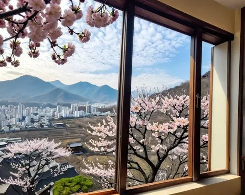 plum blossoms,apricot blossom,hanok,window view,namsan hanok village,window film,plum blossom,apricot flowers,japanese sakura background,japanese cherry blossoms,south korea,japanese floral background,bukhansan,window to the world,peach blossom,spring blossoms,japanese-style room,cherry blossom japanese,japanese cherry blossom,sakura blossom,Unique,Design,Infographics