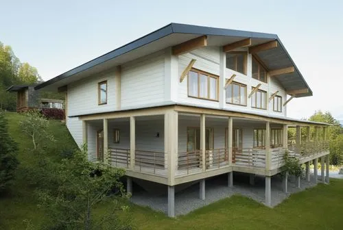 sketchup,passivhaus,inverted cottage,wooden house,3d rendering,stilt house,Photography,General,Realistic