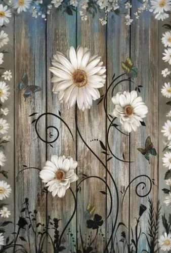 wood daisy background,white daisies,white picket fence,garden fence,daisies,daisy flowers,flower border frame,marguerite daisy,australian daisies,daisy flower,flower frame,flower background,fence gate