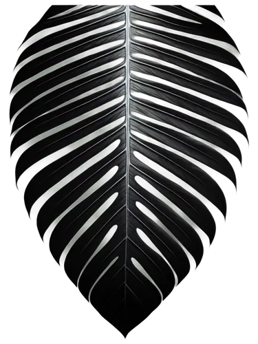 fern leaf,nz badge,car badge,tropical leaf,fan leaf,tropical leaf pattern,coconut leaf,zebra,diamond zebra,heart of palm,ventilation grille,surfboard fin,jungle leaf,automotive decal,zebra pattern,frond,prince of wales feathers,chevron,palm leaf,rs badge,Conceptual Art,Fantasy,Fantasy 17