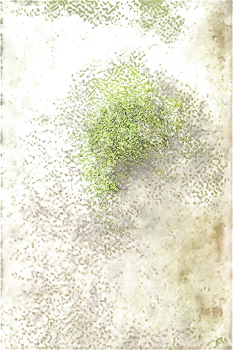 azolla,duckweed,seamless texture,moss landscape,liverwort,bryophyte,sphagnum,harvestable,pondweed,puccinia,watermilfoil,tadpoles,forest moss,photogrammetric,bryophytes,barrens,multituberculata,topographer,cyanobacteria,lichen,Conceptual Art,Daily,Daily 29