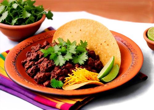 barbacoa,mexican-style pork tacos,machaca,mexican foods,picadillo,taqueria,tapaboca,taquerias,jalpa,oaxacan,mexican food,rancheros,tacos al pastor,tacos food,chili,tinga,avanzado,posole,mexican mix,beef goulash,Photography,Documentary Photography,Documentary Photography 18