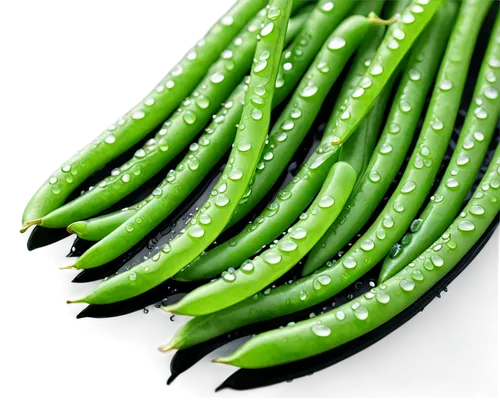 serrano peppers,fragrant peas,snap pea,serrano pepper,patrol,okra,snow peas,green soybeans,aaa,pea,green asparagus,peperoncini,green paprika,edamame,okra peji,cleanup,broad bean,chilli pods,green bean,cucumis,Unique,3D,Isometric