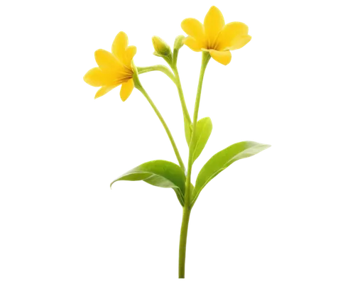 Bright yellow petals, trumpet-shaped center, slender stem, green leaves, solo, close-up, shallow depth of field, warm sunlight, soft focus, bokeh background, natural lighting, vibrant color tone, 3/4 