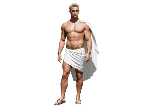 Greek god, muscular man, solo, (30yo), short beard, flowing white hair, laurel wreath, bare chest, gold accessories, white toga, sandals, powerful stance, contrapposto, soft focus, warm lighting, cine