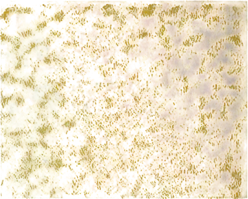 seamless texture,abstract gold embossed,yellow wallpaper,kngwarreye,brown mold,degenerative,puccinia,terrazzo,cytokeratin,isolated product image,petromatrix,biofilm,biofilms,background pattern,sunflower lace background,monolayer,peroxidation,diplopia,multiscale,speckling,Conceptual Art,Oil color,Oil Color 16