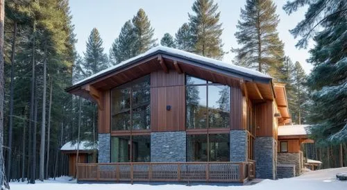 the house is located in the woods, surrounded by snow and trees,timber house,small cabin,log cabin,snow house,forest house,the cabin in the mountains,Illustration,Black and White,Black and White 08