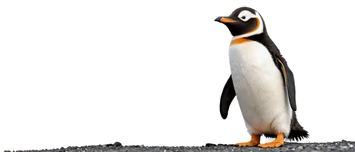 gentoo penguin,chinstrap penguin,emperor penguin,gentoo,king penguin,penguin,dwarf penguin,puffinus,king penguins,pingu,penggen,penguin enemy,rock penguin,young penguin,big penguin,pinguin,arctic penguin,kowalski,magellanic penguin,penguin chick,Conceptual Art,Fantasy,Fantasy 33