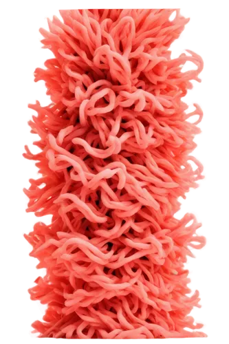 soft coral,coral,desert coral,feather coral,coral fungus,cockscomb,coral fingers,deep coral,klepon,rock coral,soft corals,coral-like,meadow coral,strozzapreti,ramaria,bubblegum coral,coral charm,luffa,coral swirl,mushroom coral,Conceptual Art,Graffiti Art,Graffiti Art 11