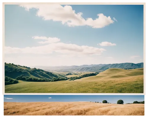 grasslands,grassland,rolling hills,view panorama landscape,salt meadow landscape,landscapes,grain field panorama,lubitel 2,panoramic landscape,hills,alpine meadows,northern california,the hills,hillsides,landscape photography,landscape background,mountain meadow hay,plains,wheat fields,ranges,Photography,Documentary Photography,Documentary Photography 03