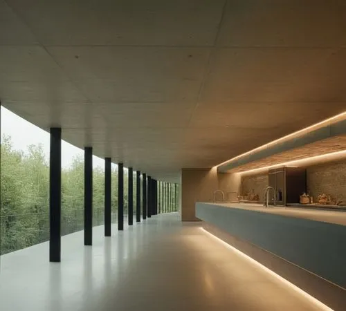 concrete ceiling,adjaye,associati,chipperfield,clerestory,zumthor,Photography,General,Cinematic