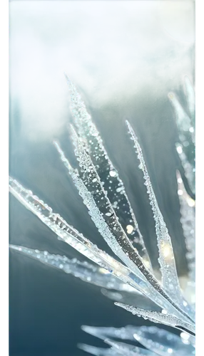 ice crystal,ice crystals,ice landscape,crystalline,feather on water,ice rain,frozen ice,ice flowers,frozen water,water glace,icicle,ice wall,ice,icicles,artificial ice,frosted glass,snowflake background,silver grass,ice floe,water scape,Illustration,Japanese style,Japanese Style 13