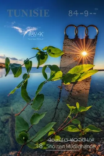 cd cover,titane design,summer solstice,tunis,tropical house,tunisia,transverse flute,cover,sun bass,tensile,blindsee,fusion photography,reunion island,the danube delta,sunroot,sunshade,background view