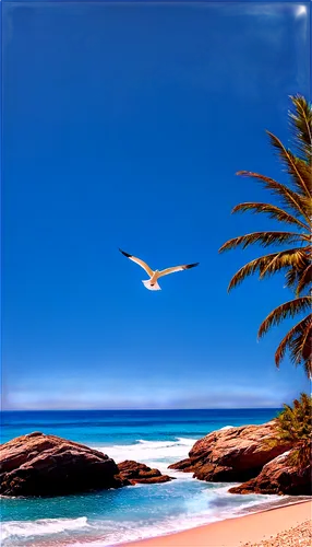 canary islands,seagull in flight,tenerife,baja california sur,beach landscape,coastal bird,seagull flying,seagull,flying sea gulls,bird island,beautiful beach,ascension island,pacific gull,agadir,laguna beach,beach scenery,cabo san lucas,cape verde island,sea-gull,dream beach,Conceptual Art,Sci-Fi,Sci-Fi 08