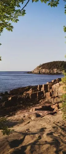 tree, branches, leaves,a view from an overlook looking out to the water,flatrock,lake superior,rockcliffe,passamaquoddy,bar harbor,lutsen