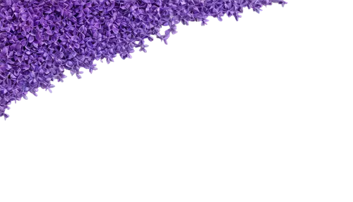 wall,wavelength,purpleabstract,purple,purple background,purple blue ground,no purple,defend,cease,seizure,purple wallpaper,raid,lavenu,lavendar,lavander,the purple-and-white,ultraviolet,destroy,subwavelength,wavevector,Photography,Artistic Photography,Artistic Photography 10