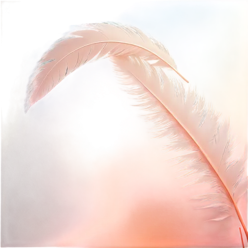 feather,chicken feather,white feather,swan feather,color feathers,hawk feather,bird feather,parrot feathers,pigeon feather,feathers,angel wing,plumes,feather headdress,feather on water,bird wing,feather jewelry,sunburst background,feathers bird,angel wings,peacock feather,Illustration,Black and White,Black and White 10