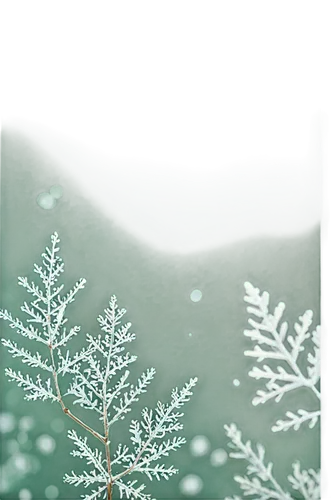 snowflake background,christmas snowy background,winter background,watercolor christmas background,birch tree background,christmasbackground,christmas background,christmas snowflake banner,fir-tree branches,small tree,fir tree decorations,christmas tree pattern,christmas wallpaper,fir tree,fir branches,snowy tree,birch tree illustration,fir needles,fir trees,background vector,Art,Artistic Painting,Artistic Painting 40